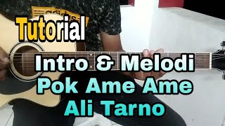 Intro Dan Melodi || Pok Ame Ame Ali Tarno