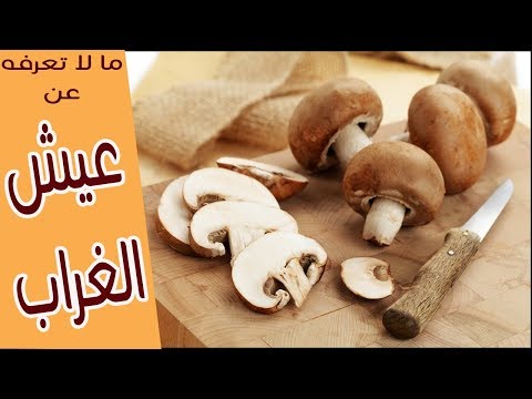 ما لا تعرفه عن عيش الغراب فوائد مذهلة للمشروم