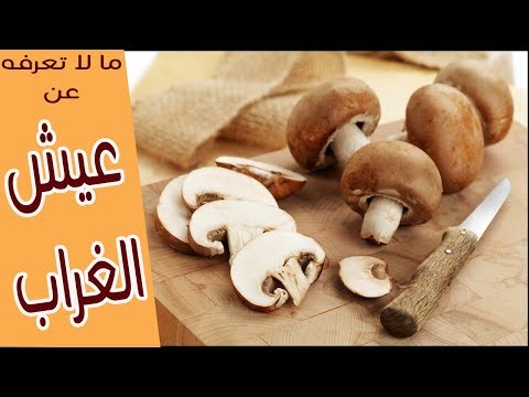 فيديو: هل من الممكن أن تقلى عيش الغراب