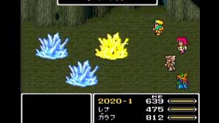 FF5FJF2020 Run 1 | Seal Guardians