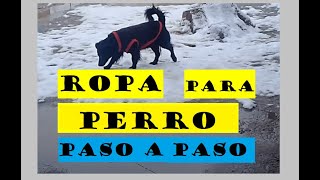 DIY Ropa para perro  PASO A PASO  Mi planeta de ideas