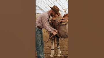 Back cinch explained. Do you use it?