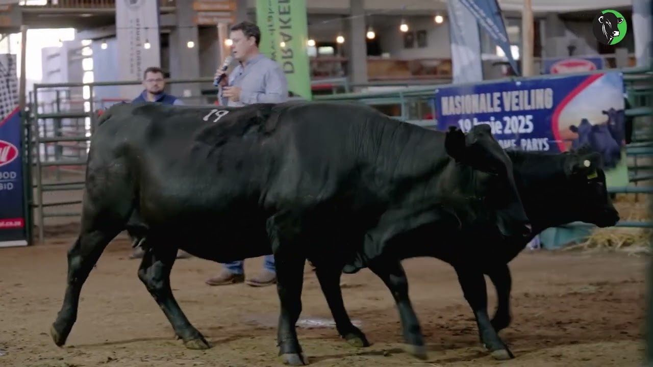 14   Functional efficiency – Example   Mother and calf A Selection – keep it simple