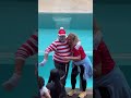 Tom the Mime #seaworldmime #funny #tomthemime #foryoupagе #usa... #Shorts #boomly6