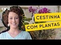 Orquídeas em um cesto de prendedor de roupa | Jardinagem | Carol Costa