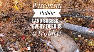 Deer down!  Wisconsin Public Land Deer Hunt  Every Deer is a trophy ~  2023 Archery Hunt