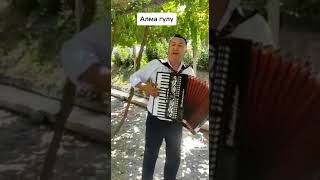 Элдик талант УКМУШ үн 😲😲 &quot;Алма Гүлү&quot;