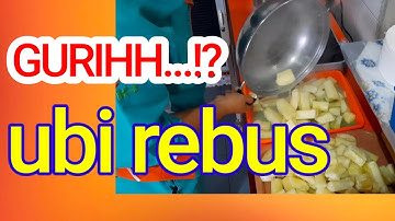GURIH..⁉️ || Cara Membuat Ubi Singkong Rebus