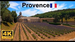 Provence - Abbaye Notre Dame de Sénanque - Lavender fields - France - 4K walking tour #lavender