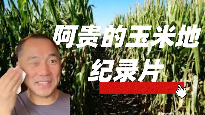 纪录片《郭文贵的玉米地》第一集：北上莘县（首播） - 天天要闻