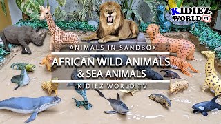 African Wild Animals & Big Sea Animal Stuck in the Sandbox