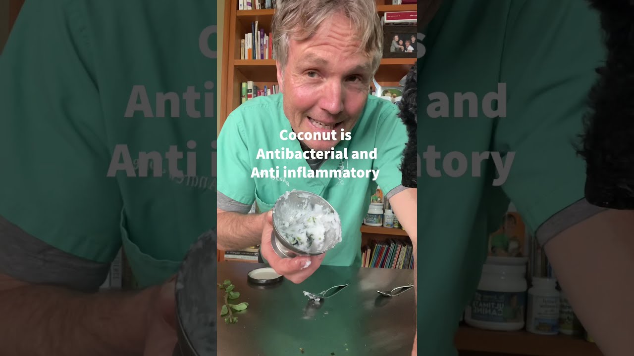 Dog Bad Breath Remedy Shorts