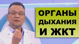 ЖКТ И ЗАБОЛЕВАНИЯ ОРГАНОВ ДЫХАНИЯ - Сюжет из программы 