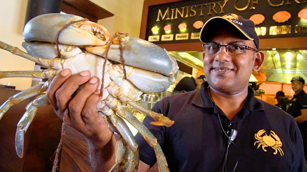 Sri Lanka Food - CRABZILLA!! 1.7 KG Crab + $265 Seafood FEAST at The Ministry of Crab in Colombo! | Luke Martin