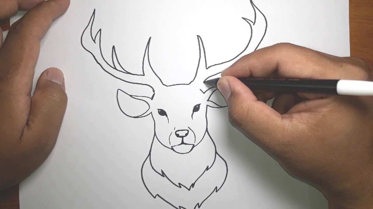 How to draw a reindeer - Gathered