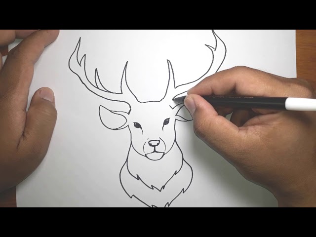 How to draw Easy Deer Head - YouTube