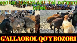 G'ALLAOROL QO'Y BOZORI TELL NO'MERI BILAN OPTOM NARXLARDA 🐏🐑🐐