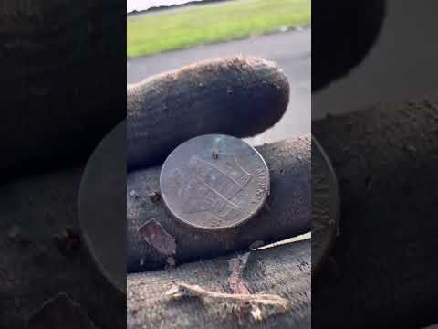 Another penny #environmentalcleanup #metaldetecting