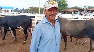 Feira Do Gado De Sumé Pb 11082025