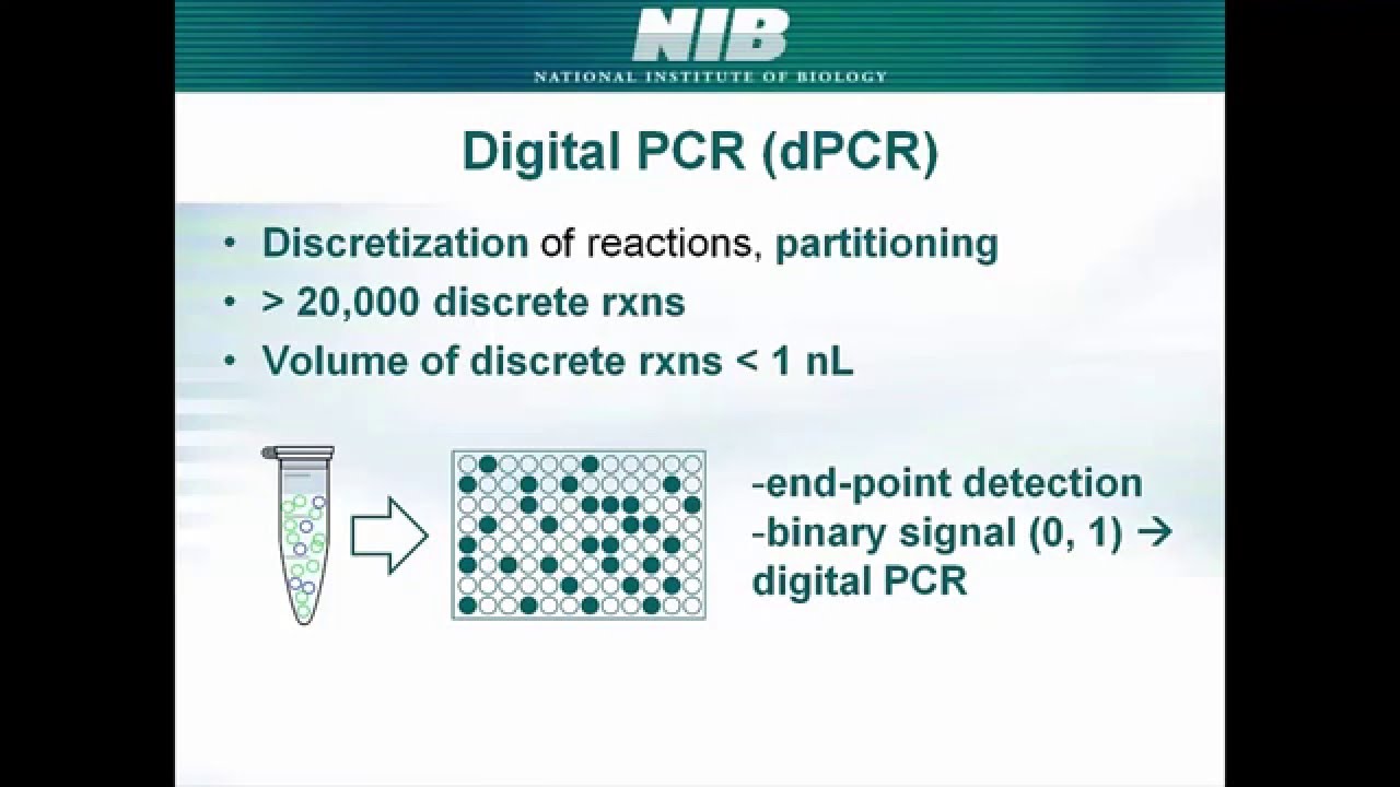 Why go digital in PCR?
