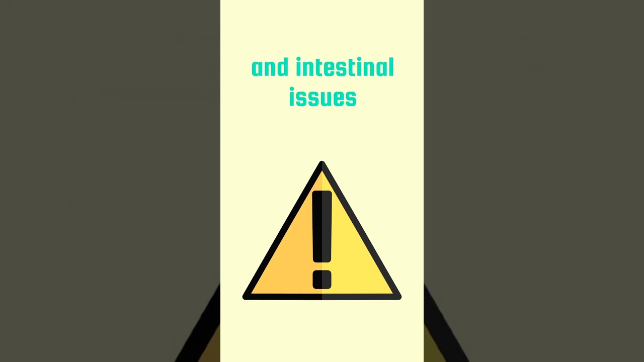 A Historic Triumph: Oldest Captive Killer Whale Set Free