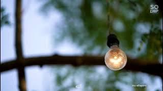 تواشيح قبل الفجر- سبحت لله فى العش الطيور