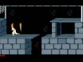 Prince of persia 1989 level 112