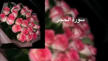 سورة الفاتحة و سورة الحجر بصوت القارئ#هزاع_البلوشي#القران  #الحمدلله
