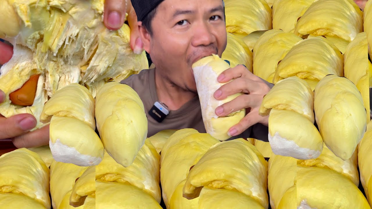 ทุเรียนหมอนทองตามฤดูกาล