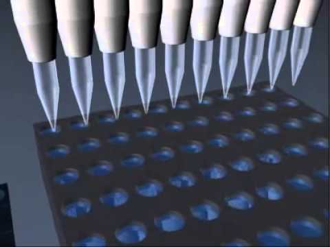 Vidéo: Comment se déroule un microarray ?