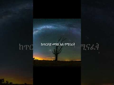 Yene Konjo Ethiopianmusic Music Ethiopia Song Habesha Newsong Dagi D Ethiopiamusic Lyrics