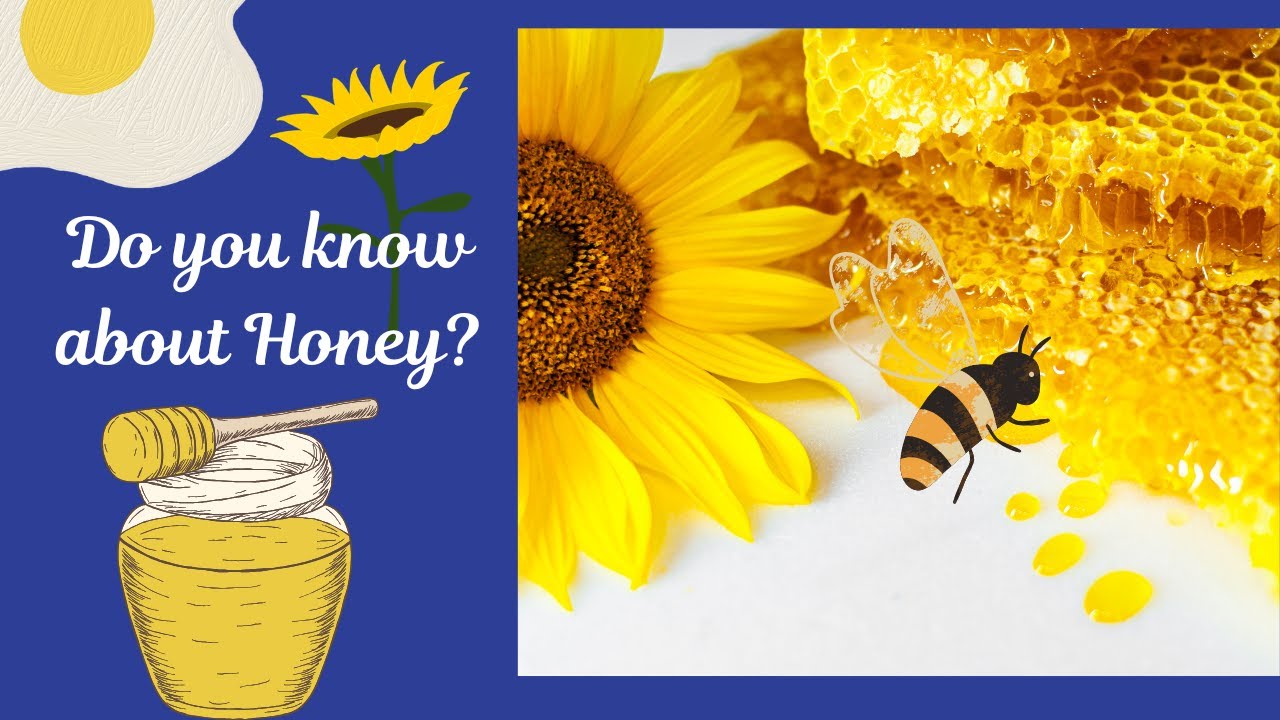 Do You Know About Honey | 
