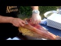 Come si taglia un prosciutto spagnolo ( jamón iberico)