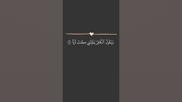 "يوم ينظر المرء ما قدمت يداه ويقول الكافر يا ليتني كنت ترابا" #قرآن_كريم #quran #سورة_النبأ