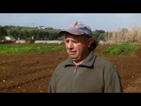 Agricoltori custodi (tratto