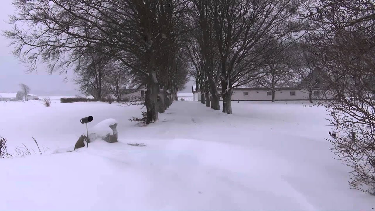 Donner Pass Snow >> Heavy snowfall in Denmark Dec 9 2012 - YouTube Donner Pass Snow >> Heavy snowfall in Denmark Dec 9 2012 - YouTube