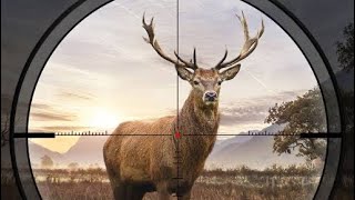 171k in Hunting Sniper T18 | Marshal Static 4 | #godz1lla_hs #games #gaming #gameplay #huntingsniper