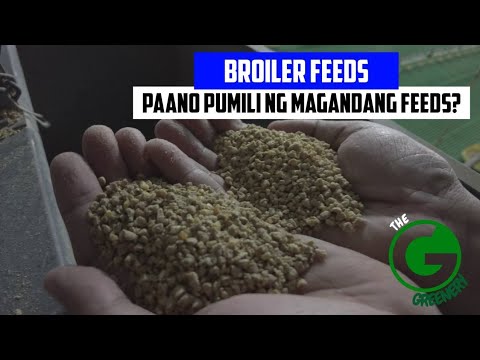 CHICKEN FEEDING GUIDE| ANO ANG MAGANDANG FEEDS PARA SA BROILER? PAANO PUMILI NG TAMANG FEEDS?