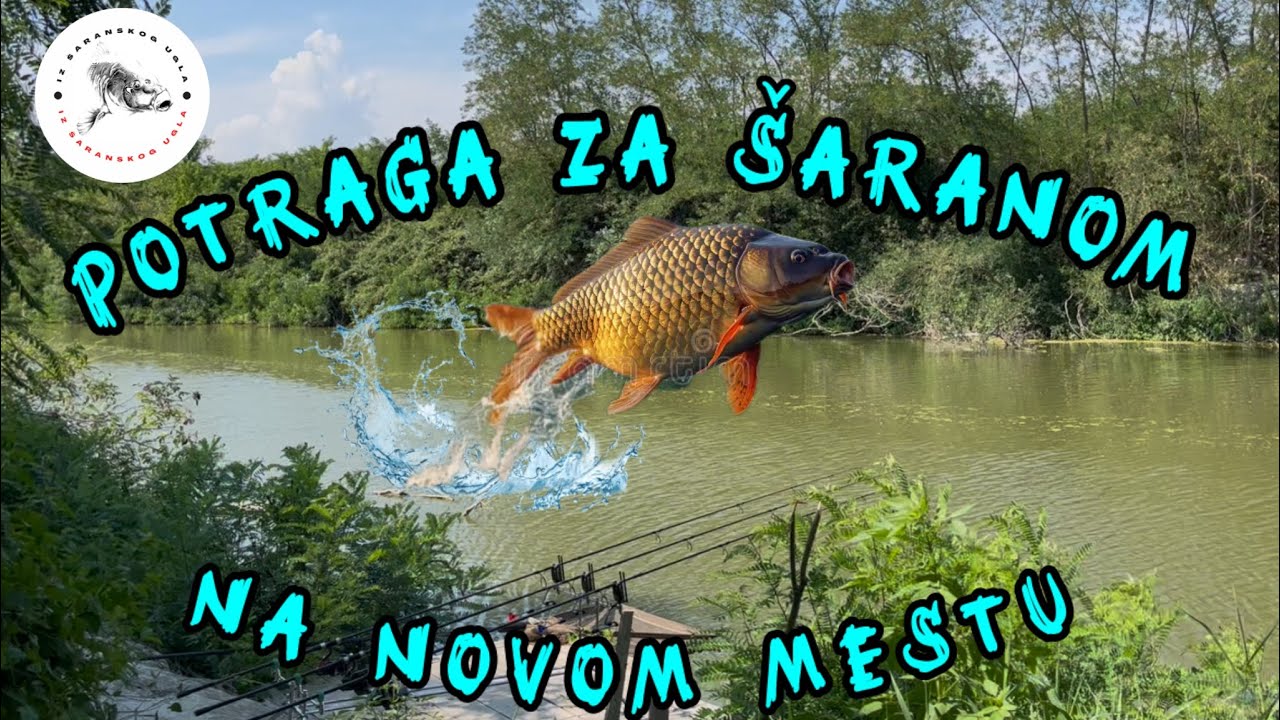 NOVO mesto, NOVI spot, ŠARANSKI RIBOLOV KAO IZAZOV I River carpfishing as a challenge