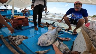 KITANG PALANGRE | Hunt for BIGGEST GROUPER and TREVALLY (day one)