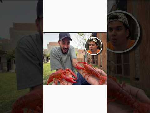 Shar Ma Dahat Big Lobster 🦞 Pets #sharmadahat  #swpethouse  #rajab  #viral  #shorts  #pets
