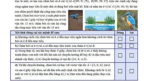 THPT Nguyễn Khuyến 2026: Trong không gian Oxyz cho trước với mặt nước phẳng lặng trùng với mặt phẳng