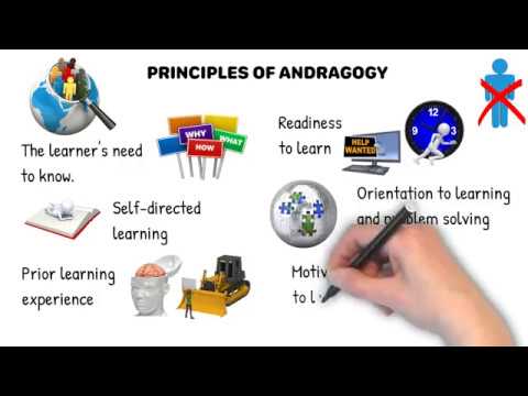 Principles Of Andragogy