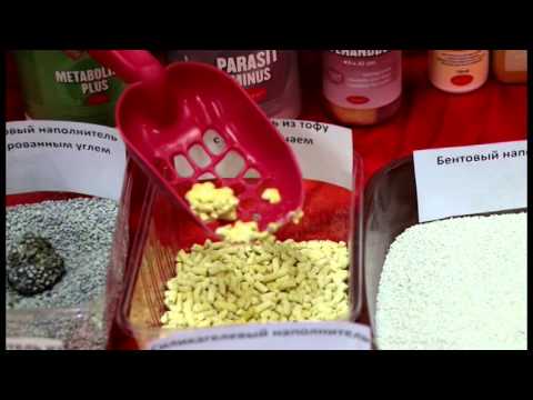 ТЕСТИРОВАНИЕ НАПОЛНИТЕЛЕЙ