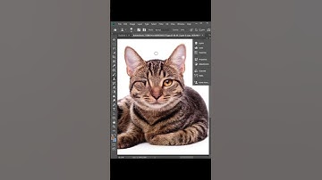 Secret of Reverse Clone Stamp #Shorts  #photoshop