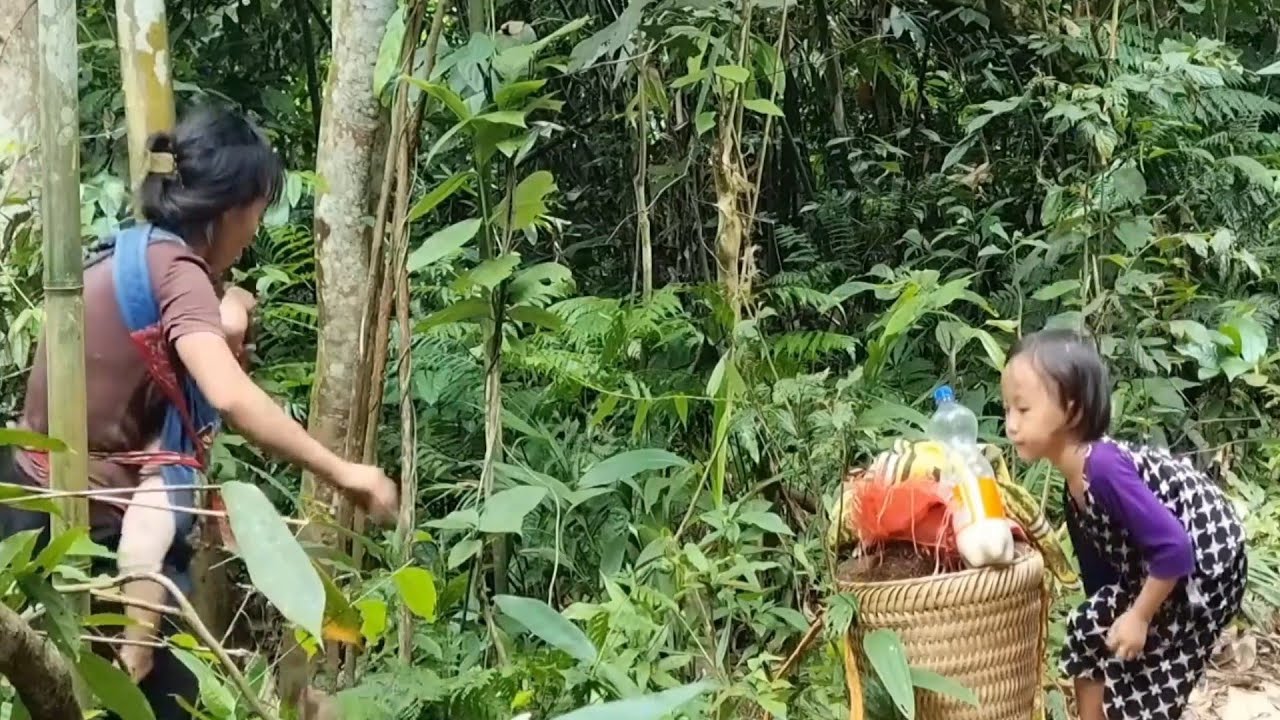 Mother and Son Go Dig Potatoes to Sell | Village Life Vlog