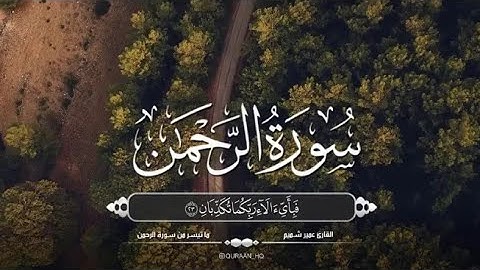 إبداع القارئ عمير شميم في سورة الرحمن