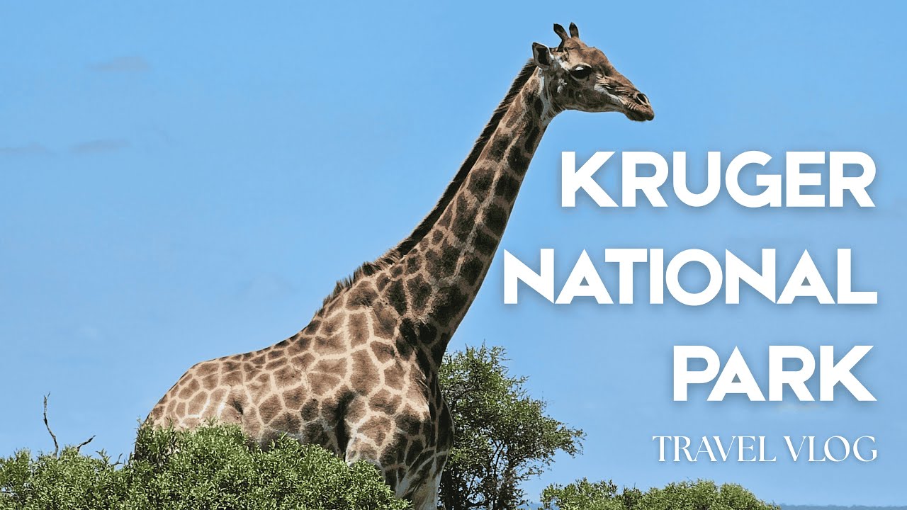 White River Reset | Kruger National Park Experience