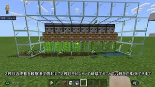 Minecraft統合版1 16 サトウキビ 竹自動収穫機 骨粉不要で完全自動 マインクラフト Youtube Minecraft統合版1 16 サトウキビ 竹自動収穫機 骨粉不要で完全自動 マインクラフト Youtube