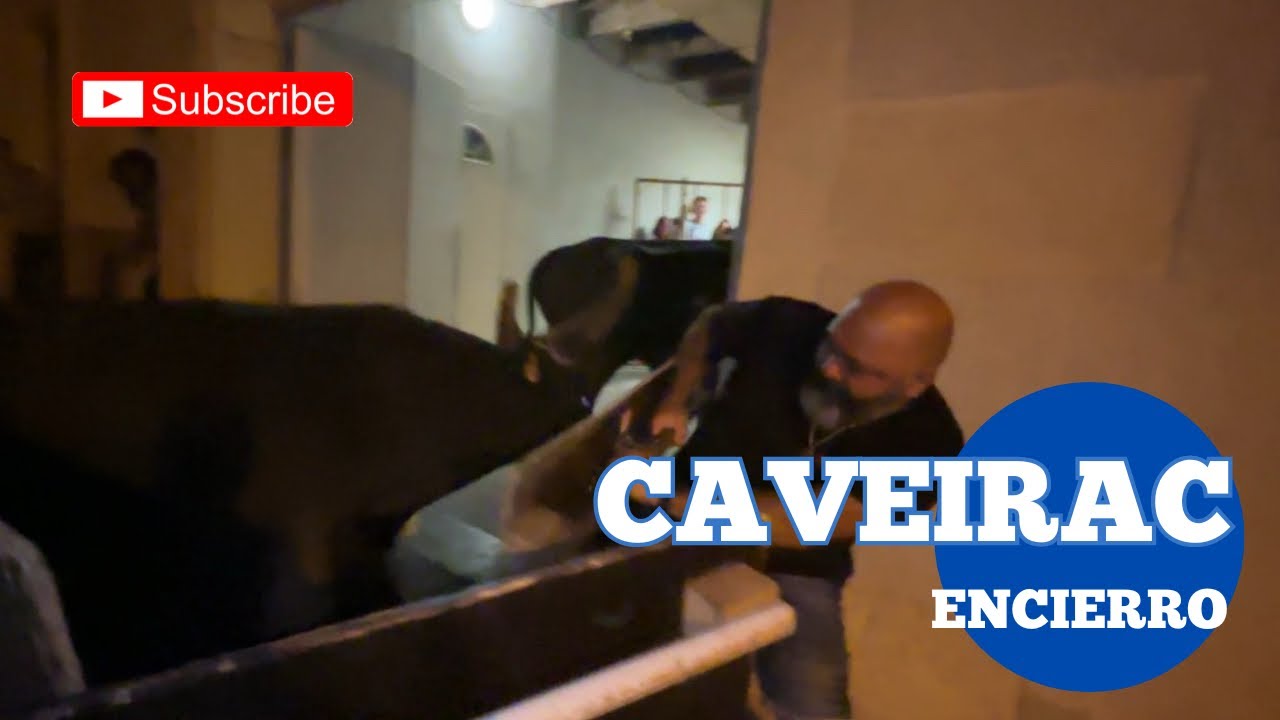 L’Encierro de légende ➡️ Caveirac 🇫🇷 11/07/25 Manade des Oliviers 👍🏼 Fête Votive 2025